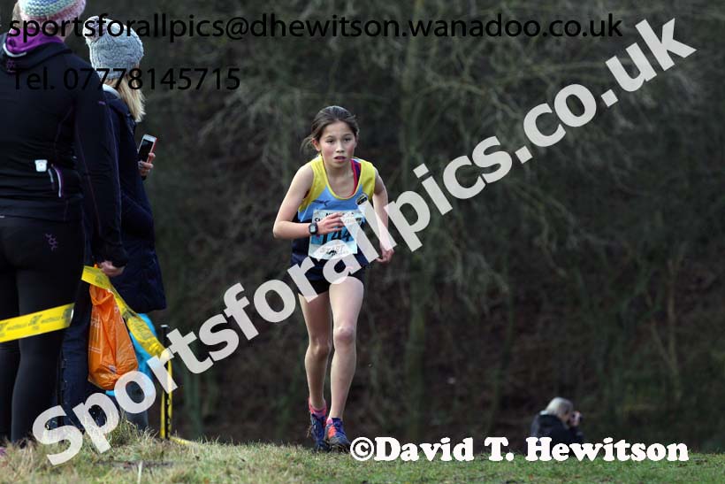 Girls under-13s North Eastern Cross Country, Aykley Heads, Durham. Photo: David T. Hewitson/Sports for All Pics